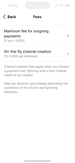 Settings screen showing options for routing and channel management fees.